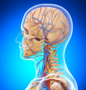 кт ангиографии сосудов